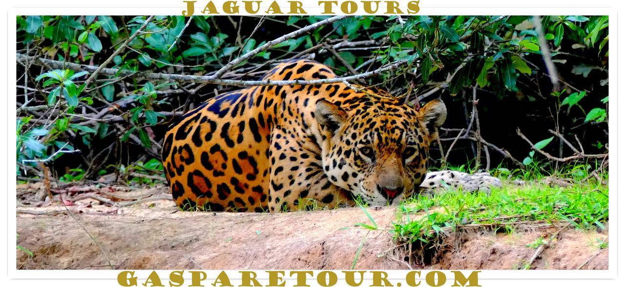 Dom Bosco Hostel Cuiaba  Bagian luar foto
